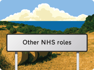 Othernhsrolesbutton